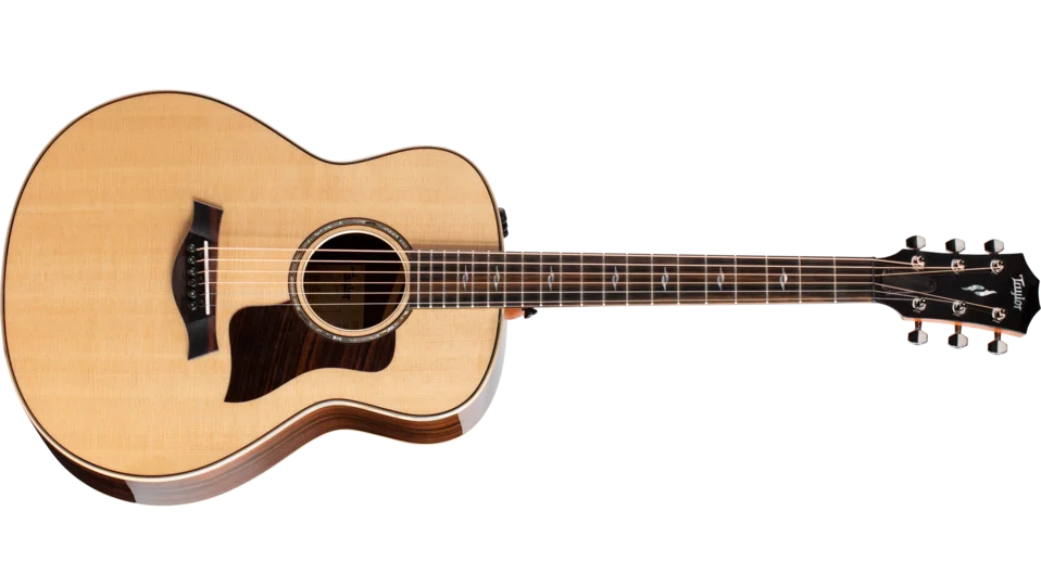 811e Indian Rosewood Acoustic-Electric Guitar | Taylor Guitars